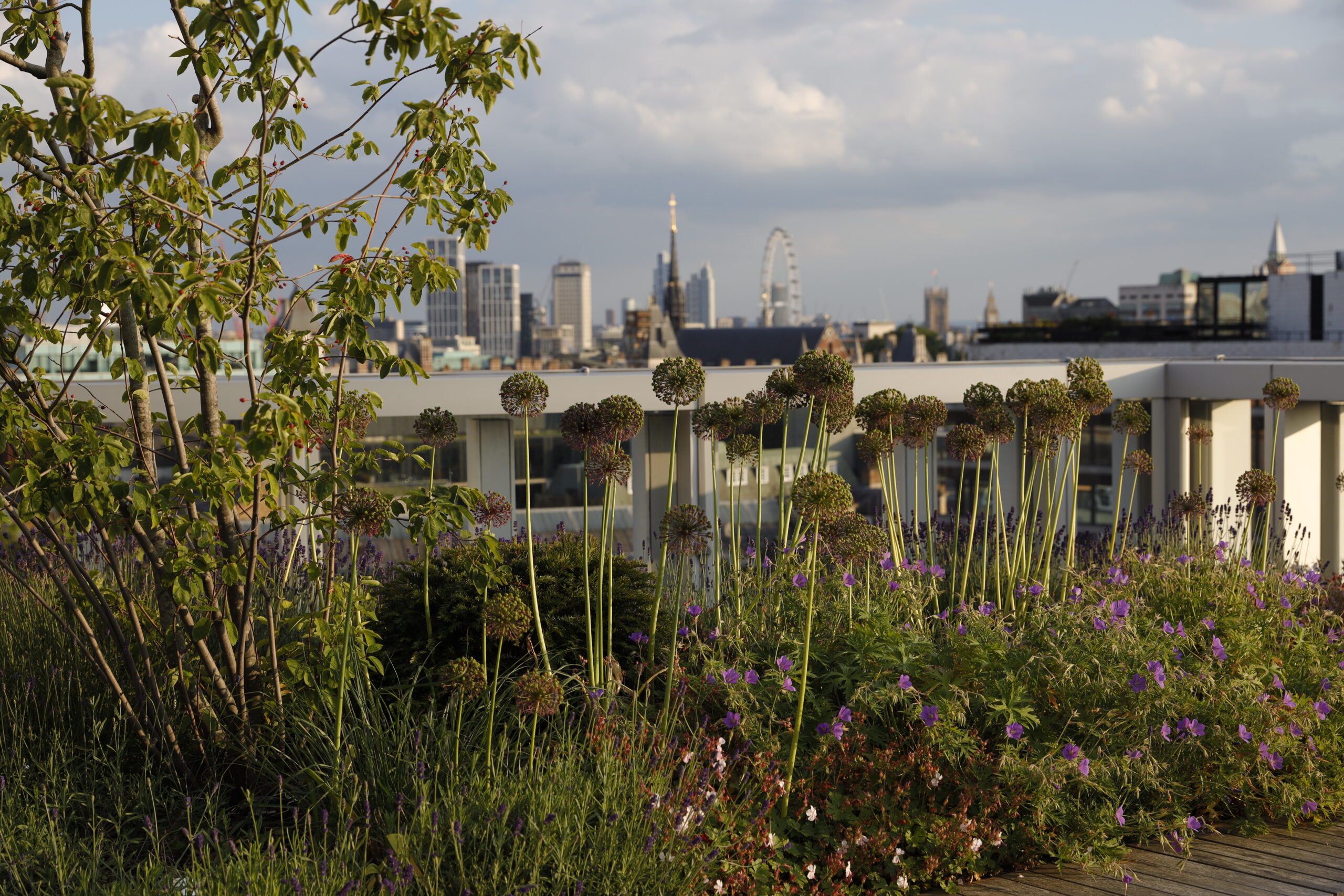 Roof garden at 150 Holborn